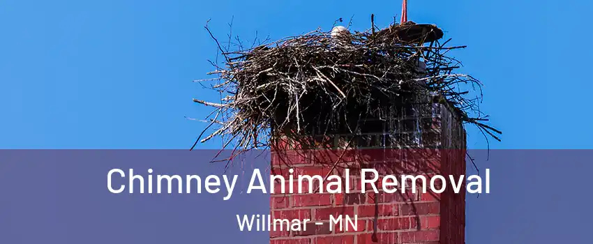  Chimney Animal Removal Willmar - MN