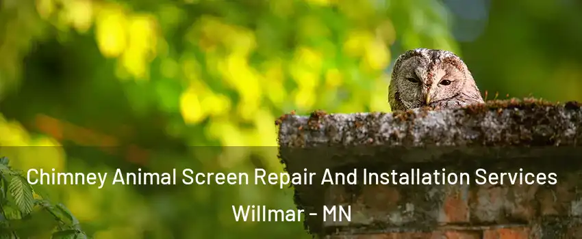  Chimney Animal Screen Repair And Installation Services Willmar - MN