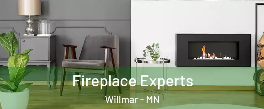  Fireplace Experts Willmar - MN