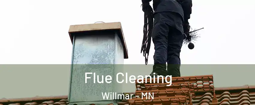  Flue Cleaning Willmar - MN