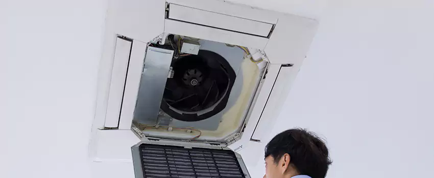 Benefits of Professional Air Duct Cleaning in Willmar, Minnesota