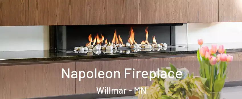  Napoleon Fireplace Willmar - MN