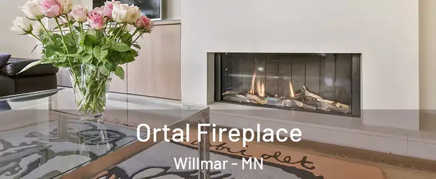  Ortal Fireplace Willmar - MN